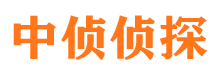 炉霍市调查取证